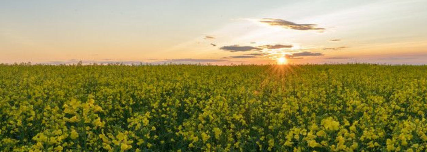 Rural Alberta Scholarship location